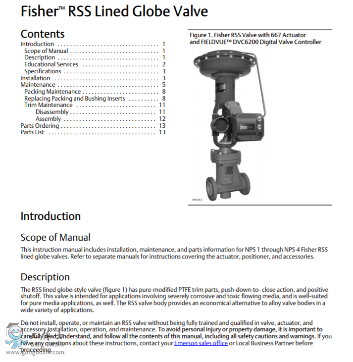 Fisher™ RSS LinedGlobe y